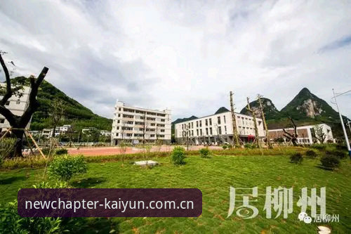 为什么用户钱峰说“年度主张KAIYUN官网入口”就像开了上帝视角？